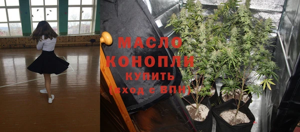 молекула духа Осташков