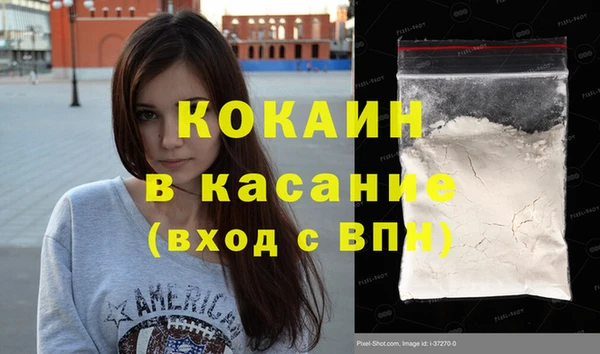 молекула духа Осташков