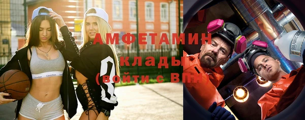 молекула духа Осташков