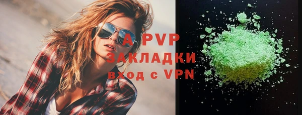 молекула духа Осташков