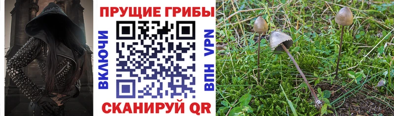 Псилоцибиновые грибы мухоморы Купить закладки Зверево